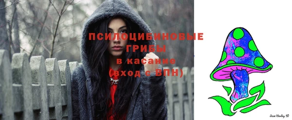 метадон Аркадак