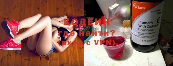 индика Сатка