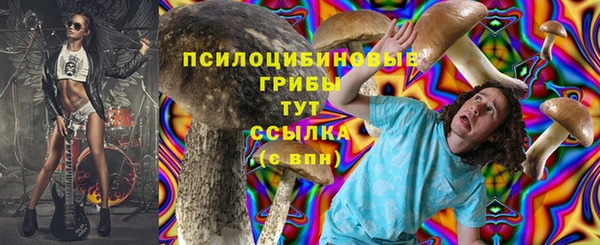 мескалин Арсеньев